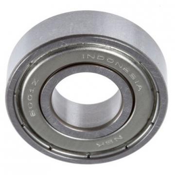China Manufacturer High Quality NSK/SKF Deep Groove Ball Bearing (6000zz 6000 2RS 6001zz 6001 2RS 6002 2RS 6002zz)